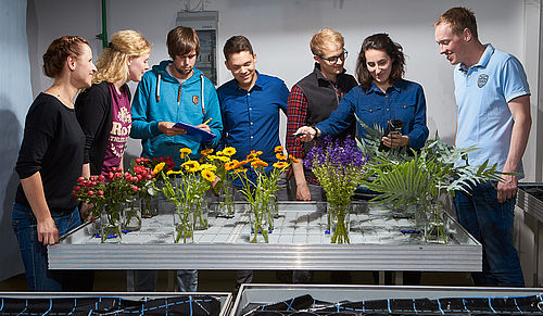 Studierende führen Messungen an Schnittblumen durch. © Hochschule Geisenheim / pps-studios.com