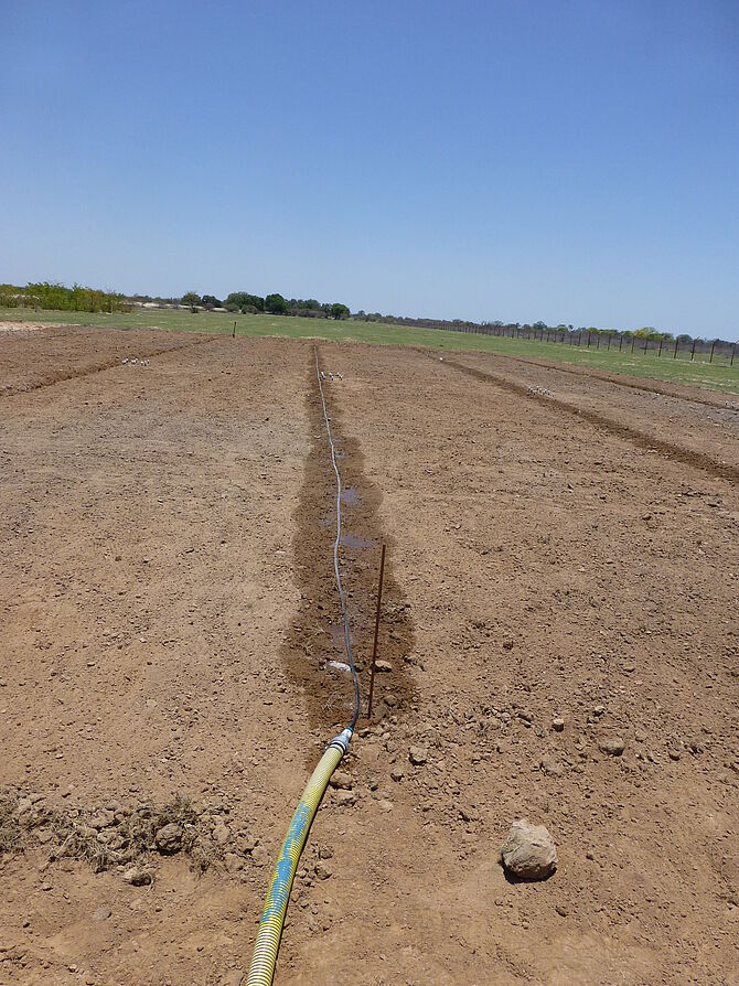 drip irrigation