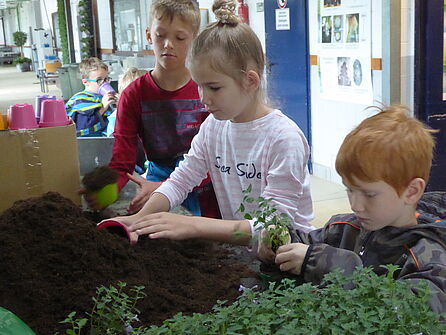 Kinder mit Erde im Gewächshaus