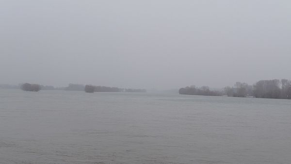 Rhein und Nebel