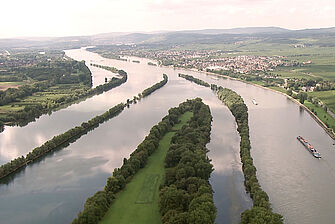 Luftbild des Rheins mit Auen und kleinen Städten. © Hochschule Geisenheim