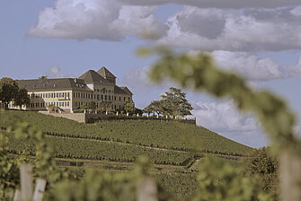 Schloss Johannisberg oberhalb von Geisenheim. © Hochschule Geisenheim