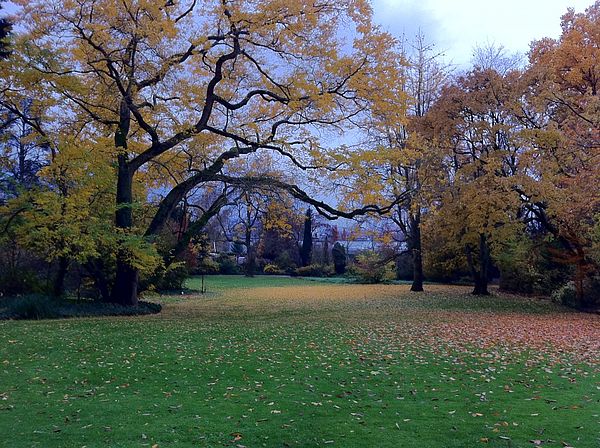 herbstlicher Park